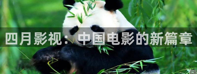 神马午夜草民电影：四月影视：中国电影的新篇章