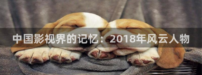 草民虫虫电影院：中国影视界的记忆：2018年风云人物