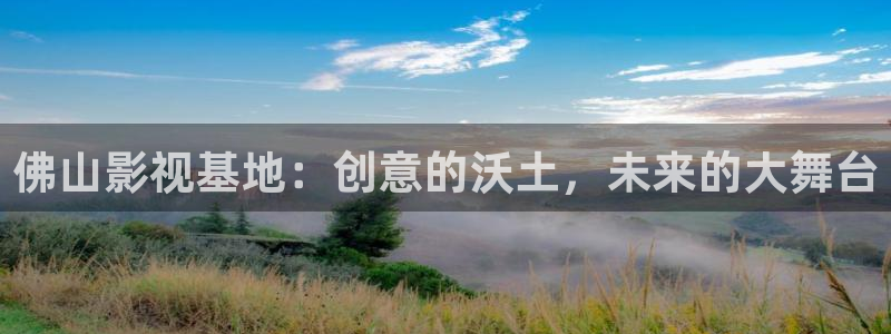 神马午夜草民电影：佛山影视基地：创意的沃土，未来的大舞台